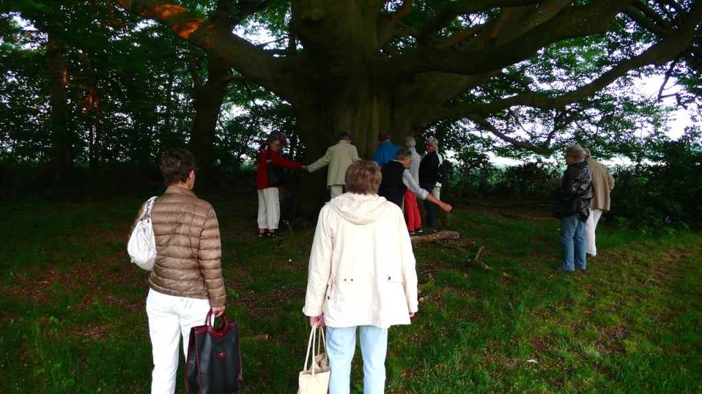 2015 "Aftenvandring" til Engum Kirke